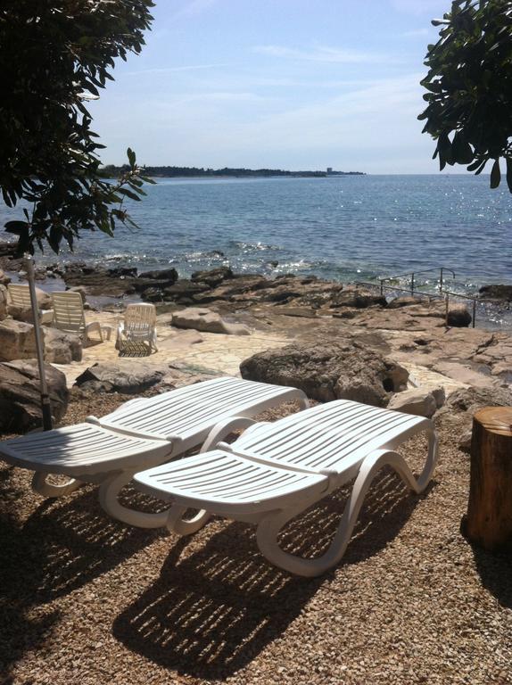 Lavanda Umag